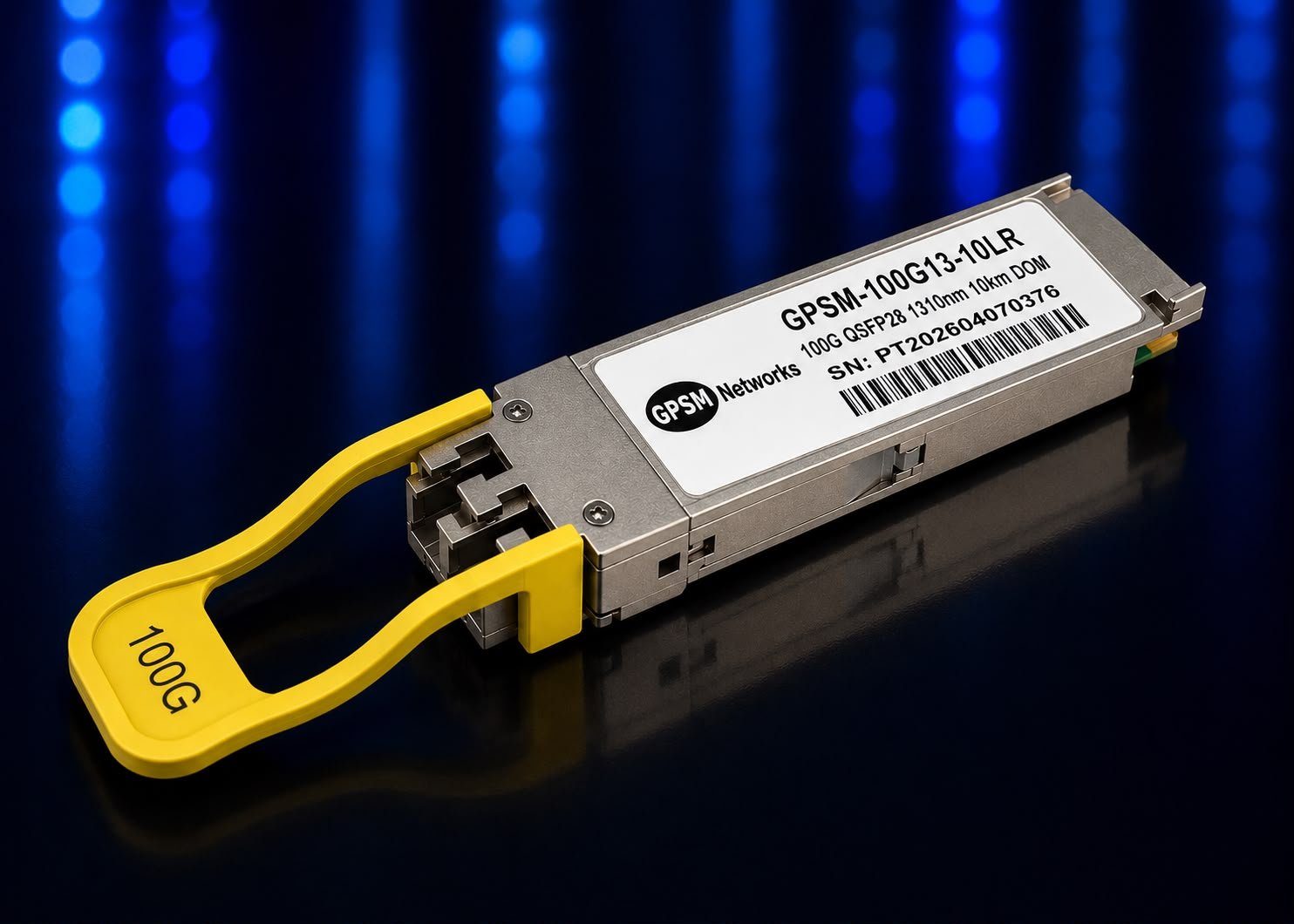 GPSM-100G13-10LR
