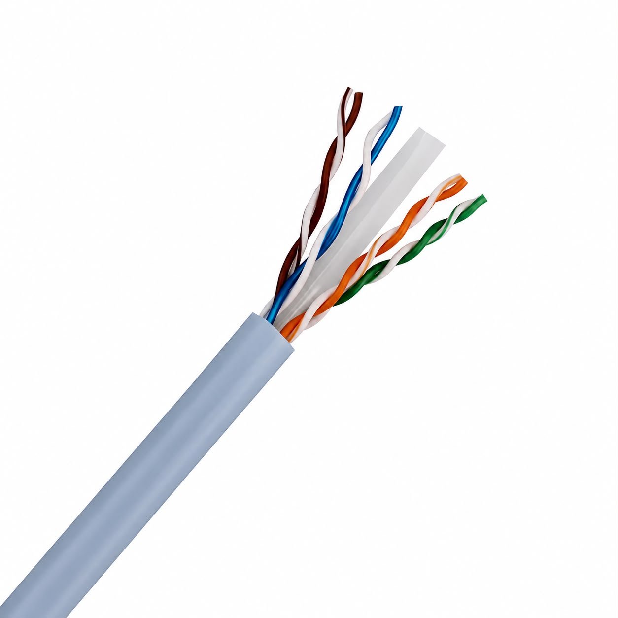 Cat 6